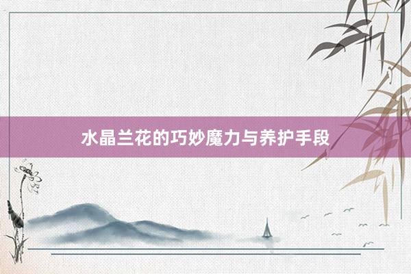 水晶兰花的巧妙魔力与养护手段