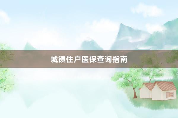 城镇住户医保查询指南