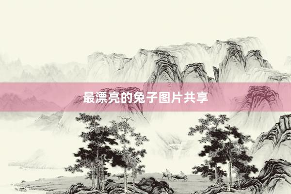 最漂亮的兔子图片共享