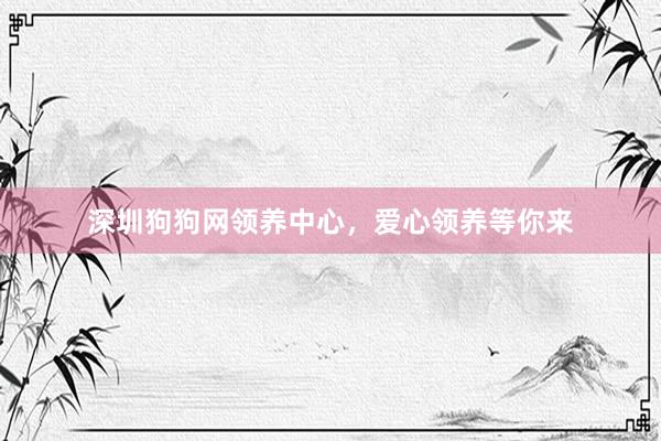 深圳狗狗网领养中心，爱心领养等你来